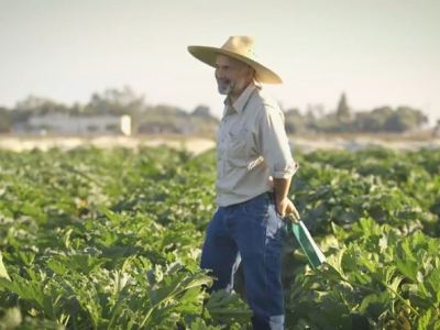 A love affair with&nbsp;squash